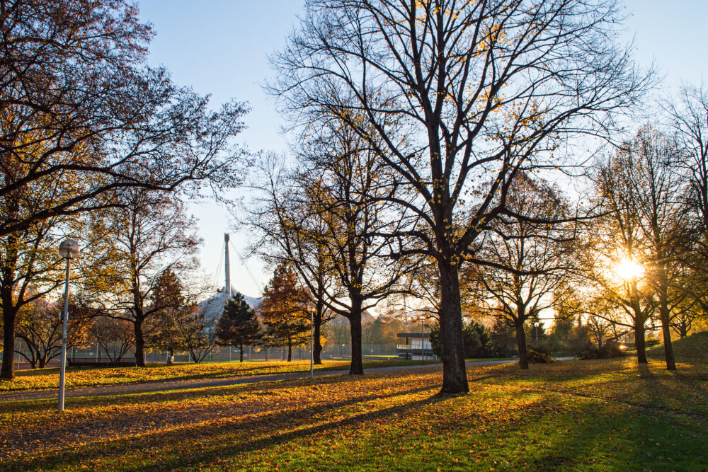 Featured image for article: The 8 Best Places to See Autumn Foliage in Munich