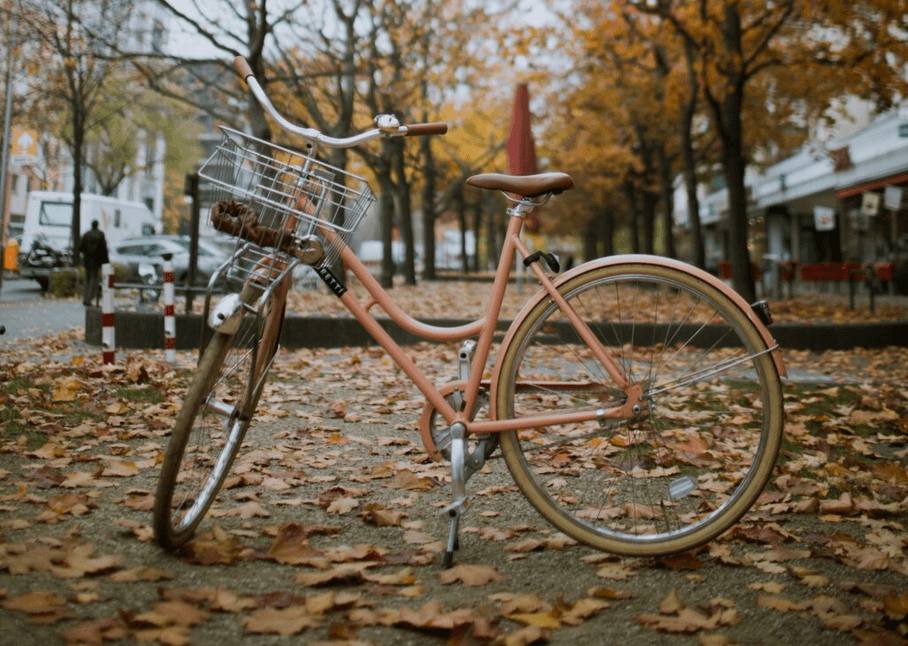 Featured image for article: English Bike Repair Service In Munich: A Bikepick Review (2023)