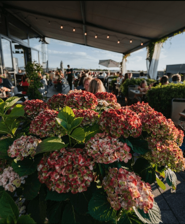 Rooftop Bars In Munich Die KuĚche im Kraftwerk
